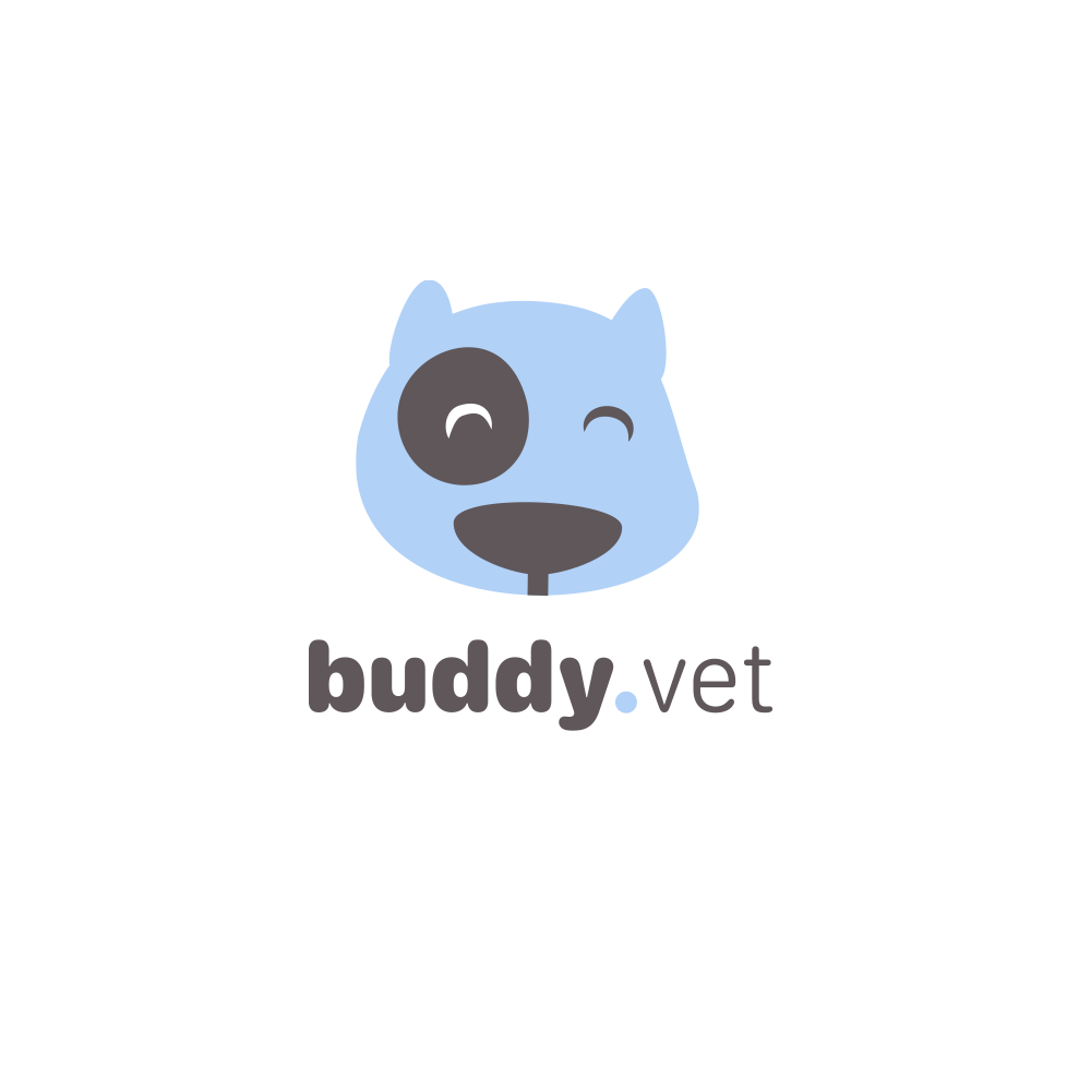 buddy-pet
